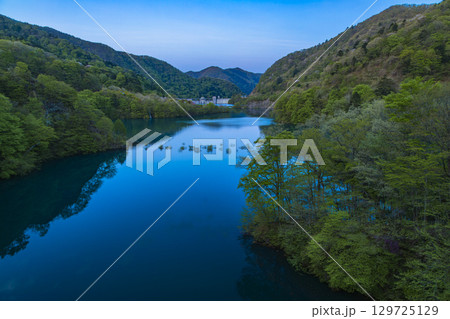 早朝の新緑に包まれる奥四万湖 129725129