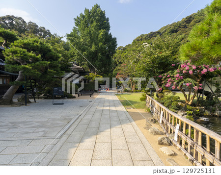 百日紅の花が咲く清荒神清澄寺の境内 129725131