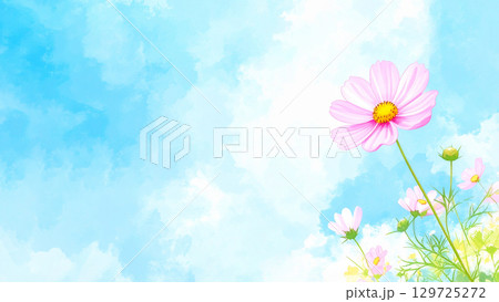 コスモスと青空 129725272