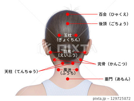 後ろ頭のツボ 反射区の解説イラスト 日本人3Dモデルの上半身後ろ姿 後ろ頭のツボ 反射区の解説イラスト 日本人3Dモデルの上半身後ろ姿 129725872