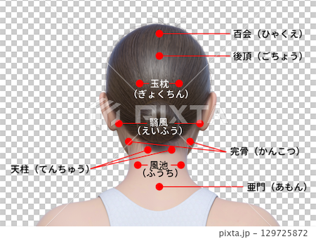 Explanation of acupressure points on the back of the head Illustration of the upper body of a Japanese 3D model from behind Explanation of acupressure points on the back of the head Illustration of the upper body of a Japanese 3D model from behind 129725872