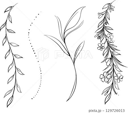 植物・葉っぱの美しいライン・線画デザイン素材 129726013