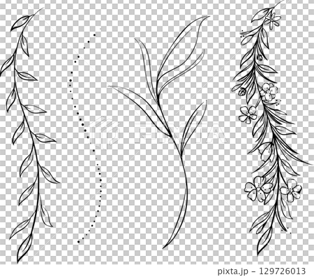 植物・葉っぱの美しいライン・線画デザイン素材 129726013