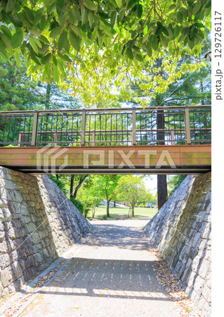 新緑に包まれた野添北公園にある橋（兵庫県加古川） 129726117