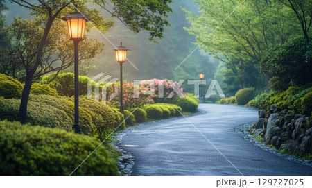 Serene Garden Path Serene Garden Path 129727025