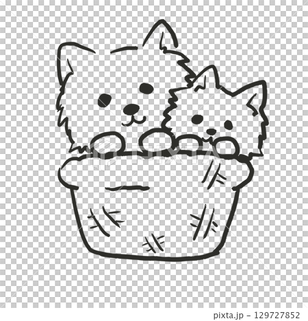 Illustration of two Chihuahuas getting along in a basket. Illustration of two Chihuahuas getting along in a basket. 129727852