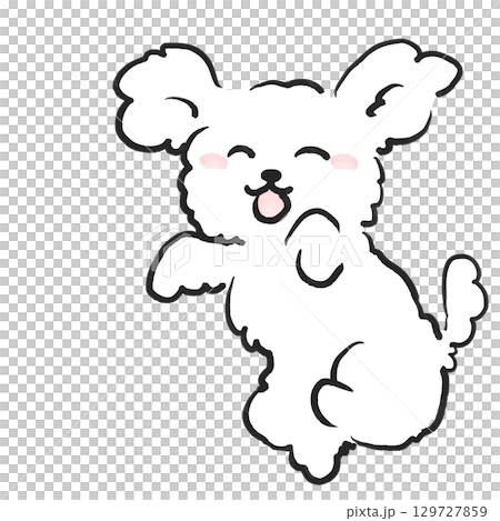 ジャンプするトイプードルの可愛いイラスト 犬のイラスト ジャンプするトイプードルの可愛いイラスト 犬のイラスト 129727859
