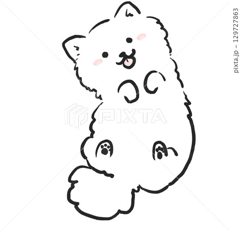 おなかを見せて笑顔のポメラニアンのイラスト　犬のイラスト 129727863