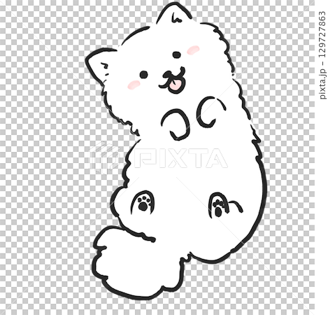 Illustration of a smiling Pomeranian showing its belly. Dog illustration. 129727863
