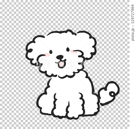 一隻可愛的玩具貴賓犬坐著的插圖 129727864