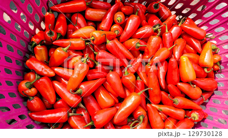 Fresh Red Chili Peppers in a Basket 129730128