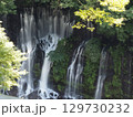 白糸の滝 静岡県 129730232