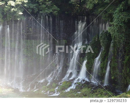白糸の滝 静岡県 129730233