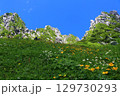 千畳敷カール　天空の花畑 129730293