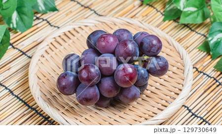 竹ざるに盛られたピオーネ 竹ざるに盛られたピオーネ 129730649