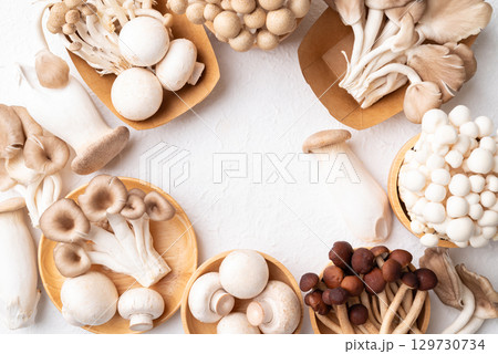 Champignon mushroom, Yanagi mushroom, Shimeji mushroom, oyster mushroom and King oyster mushroom Champignon mushroom, Yanagi mushroom, Shimeji mushroom, oyster mushroom and King oyster mushroom 129730734