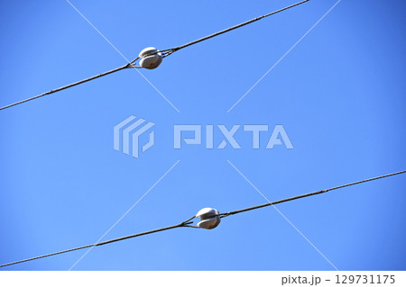 電気設備（玉碍子） 129731175