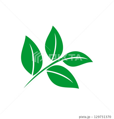 Green leaves vector logo template Illustration Design. Vector EPS 10. Green leaves vector logo template Illustration Design. Vector EPS 10. 129731370