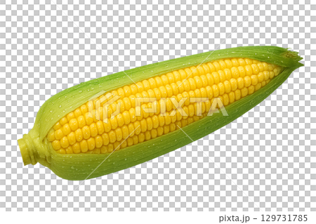 玉米 玉米 129731785