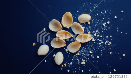 seashells and sea salt on dark blue background 129731853