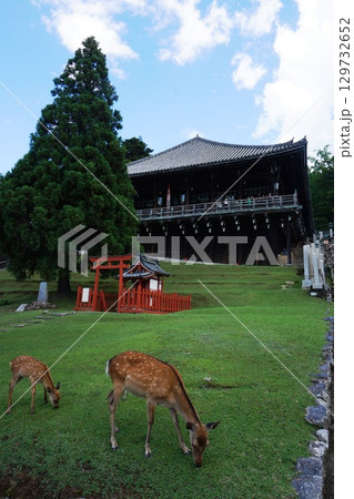寧楽の風景 129732652