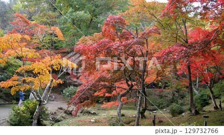 紅葉のある風景 129732766