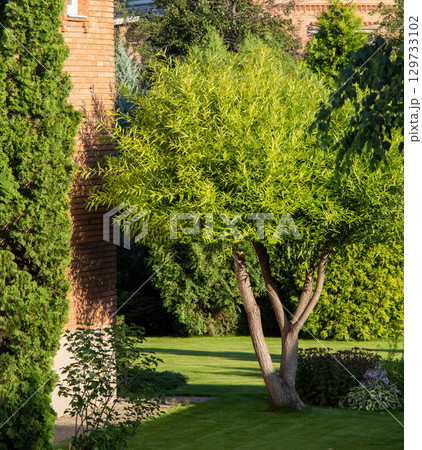 Backyard of a private house 129733102