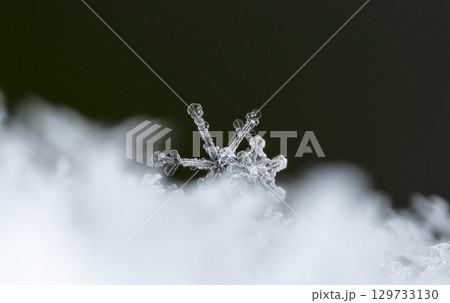 Macro snowflakes showing intricate winter details on dark background 129733130