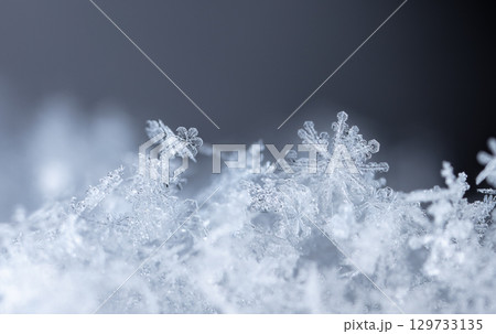 Macro snowflakes showing intricate winter details on dark background Macro snowflakes showing intricate winter details on dark background 129733135