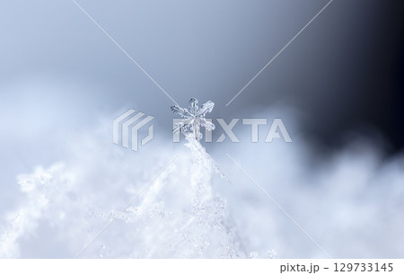 Macro snowflakes showing intricate winter details on dark background 129733145