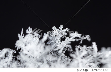 Macro snowflakes showing intricate winter details on dark background Macro snowflakes showing intricate winter details on dark background 129733148