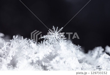 Macro snowflakes showing intricate winter details on dark background 129733152