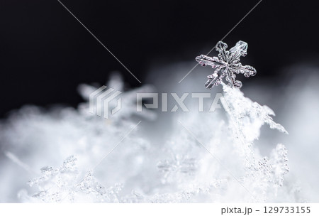 Macro snowflakes showing intricate winter details on dark background Macro snowflakes showing intricate winter details on dark background 129733155