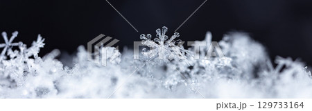 Macro snowflakes showing intricate winter details on dark background Macro snowflakes showing intricate winter details on dark background 129733164