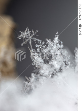 Macro snowflakes showing intricate winter details on dark background Macro snowflakes showing intricate winter details on dark background 129733168