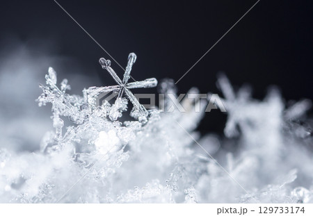 Macro snowflakes showing intricate winter details on dark background 129733174