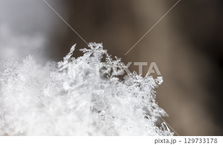 Macro snowflakes showing intricate winter details on dark background Macro snowflakes showing intricate winter details on dark background 129733178