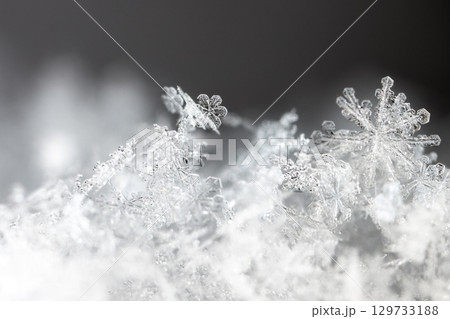 Macro snowflakes showing intricate winter details on dark background 129733188