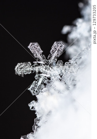 Macro snowflakes showing intricate winter details on dark background Macro snowflakes showing intricate winter details on dark background 129733205
