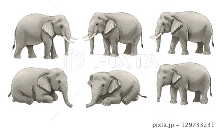 ゾウのイラスト 129733231