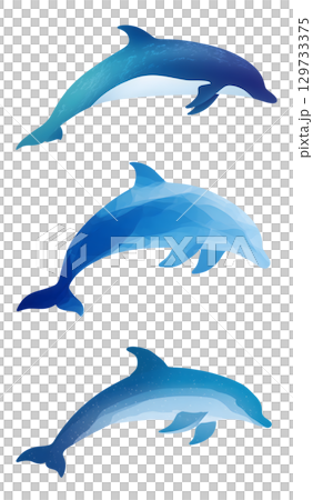 Stylized dolphins in various shades of blue, showcasing marine life beauty and elegance. Perfect for ocean themed designs 129733375