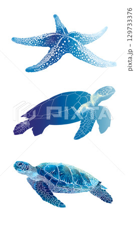 Colorful marine life illustration featuring starfish and two sea turtles, showcasing beauty of ocean biodiversity and importance of marine life 129733376