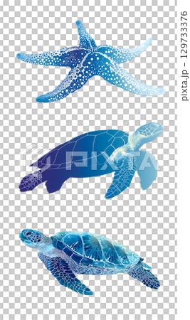 Colorful marine life illustration featuring starfish and two sea turtles, showcasing beauty of ocean biodiversity and importance of marine life 129733376