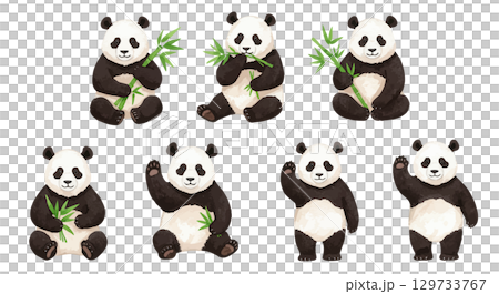 Panda Panda 129733767