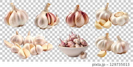 Garlic vegetable herb, many angles and view side top front cluster pile group isolated on transparent background cutout, PNG file. Mockup template for artwork graphic design Garlic vegetable herb, many angles and view side top front cluster pile group isolated on transparent background cutout, PNG file. Mockup template for artwork graphic design 129735013