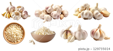 Garlic vegetable herb, many angles and view side top front cluster pile group isolated on transparent background cutout, PNG file. Mockup template for artwork graphic design 129735014