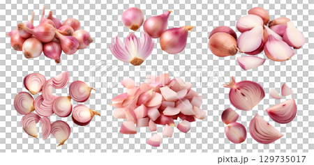 Shallot vegetable herb, many angles and view side top front cluster pile group isolated on transparent background cutout, PNG file. Mockup template for artwork graphic design Shallot vegetable herb, many angles and view side top front cluster pile group isolated on transparent background cutout, PNG file. Mockup template for artwork graphic design 129735017