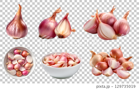 Shallot vegetable herb, many angles and view side top front cluster pile group isolated on transparent background cutout, PNG file. Mockup template for artwork graphic design Shallot vegetable herb, many angles and view side top front cluster pile group isolated on transparent background cutout, PNG file. Mockup template for artwork graphic design 129735019