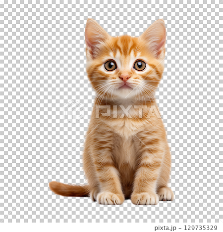 Ginger Kitten A Charming Portrait On Transparent Background 129735329