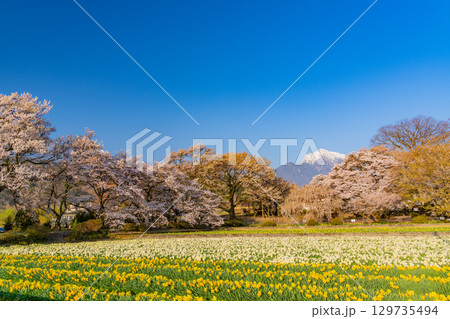 【山梨県】實相寺の桜と冠雪した甲斐駒ヶ岳 【山梨県】實相寺の桜と冠雪した甲斐駒ヶ岳 129735494